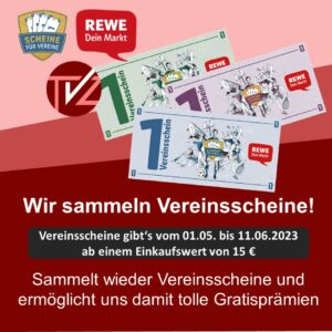 Read more about the article Scheine für Vereine ist zurück!