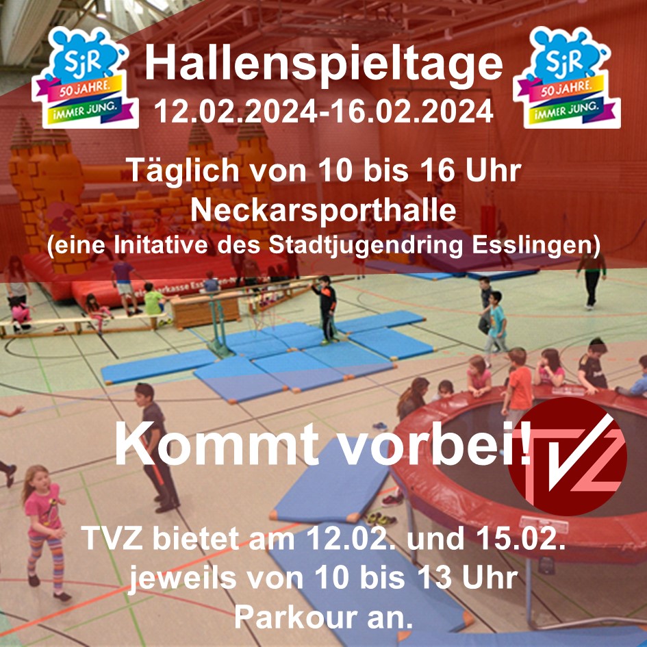 Read more about the article Hallenspieltage: TVZ ist mit dabei !