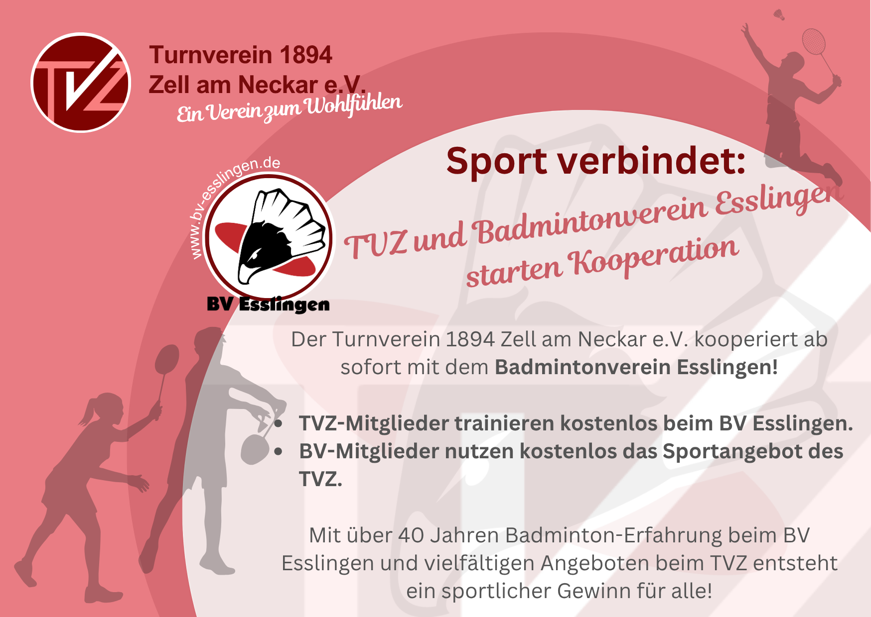 You are currently viewing Badminton